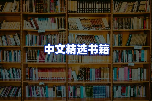 中文精选书籍